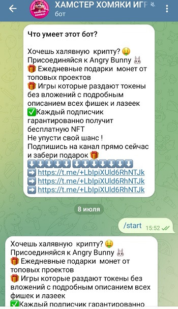 купить рефералов телеграм hamster