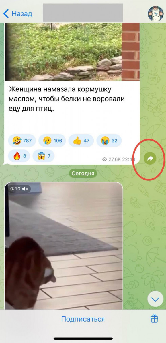 накрутка репостов тг сторис