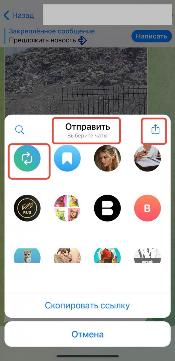 100 репостов истории в тг