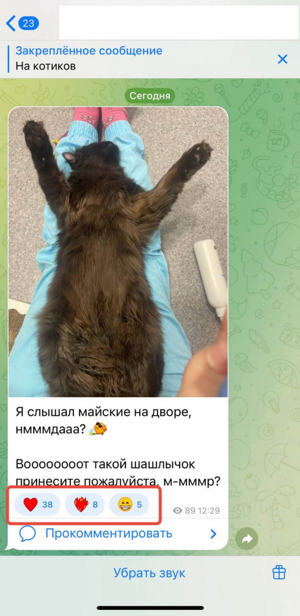 включить эмоции на айфоне телеграмм
