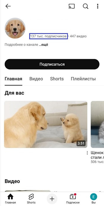 бесплатная накрутка подписчиков ютуб канала