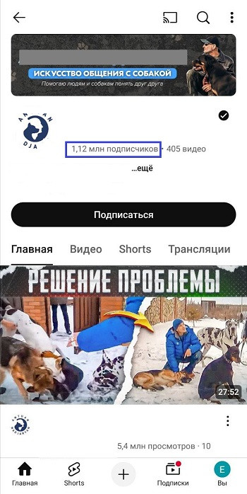 накрутка живых подписчиков ютуб