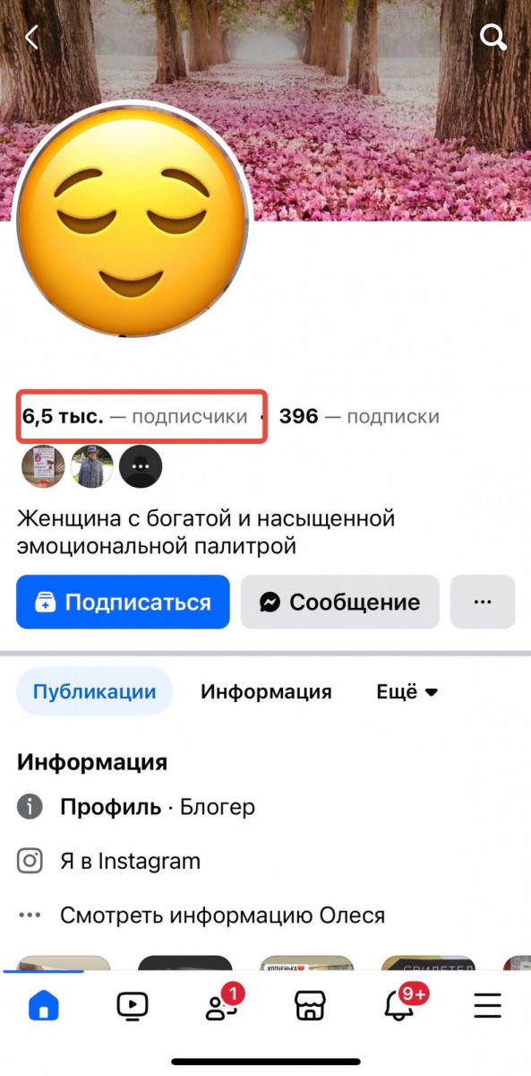накрутка подписчиков в фейсбук
