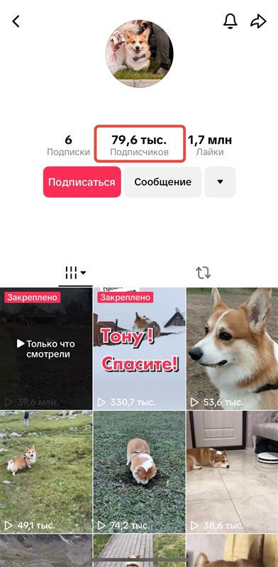 покупка подписчиков в тик ток