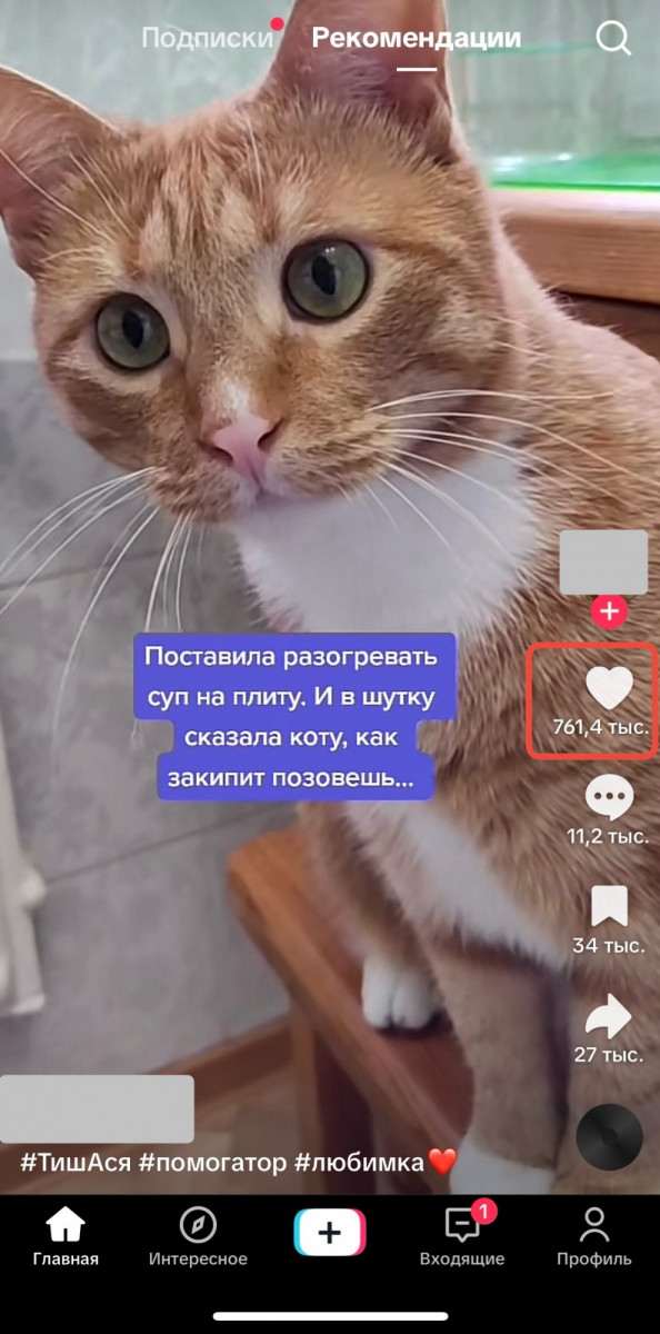 купить лайки в тикток новые