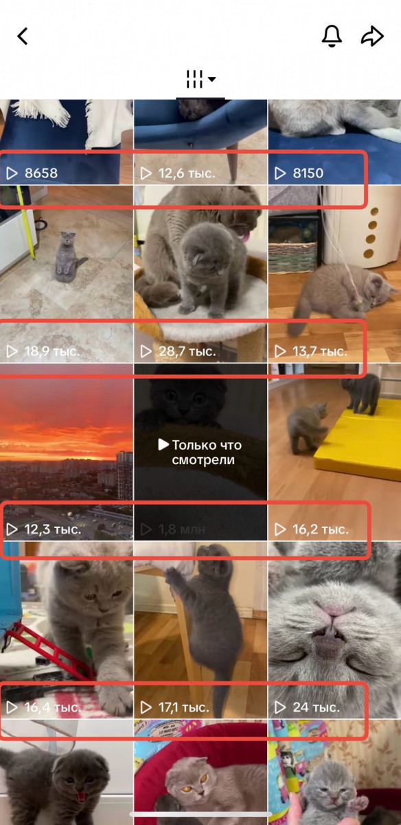 купить просмотры тикток онлайн