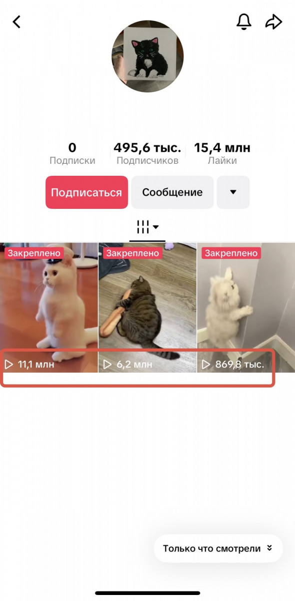 накрутка просмотров видео тикток